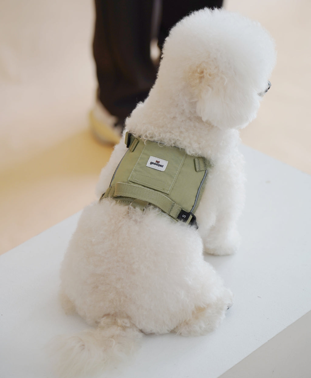 Eco-friendly Everyday Dog Harness for good pals - in Oat and Olive