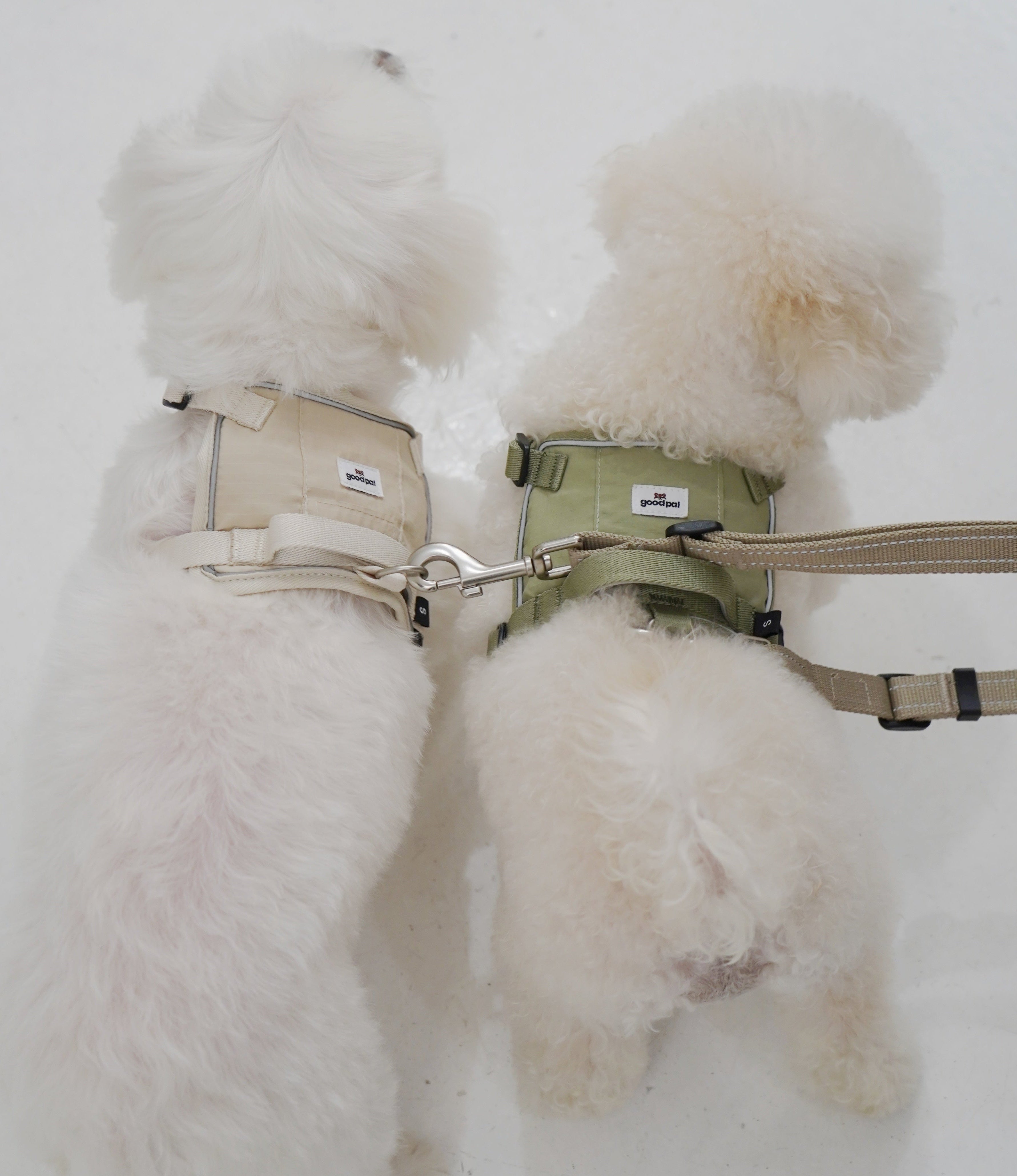 Eco-friendly Everyday Dog Harness for good pals - in Oat and Olive