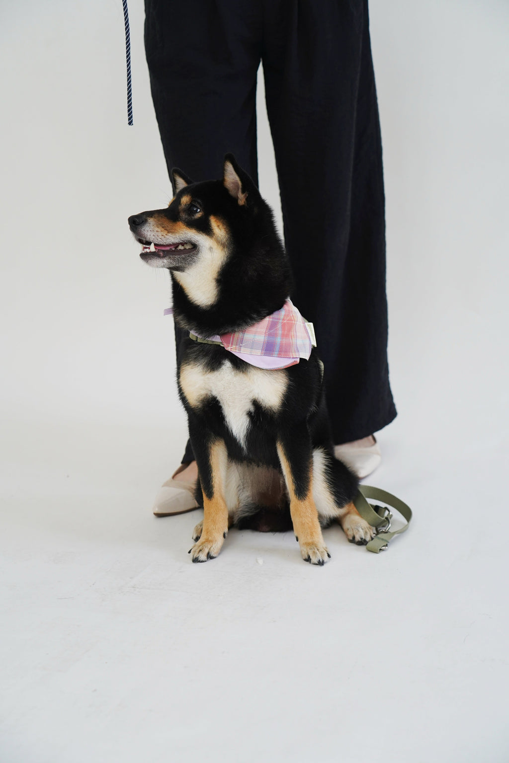 BANDANA BIB in Lavender and Poppin Red - Pawshion for the furbabies