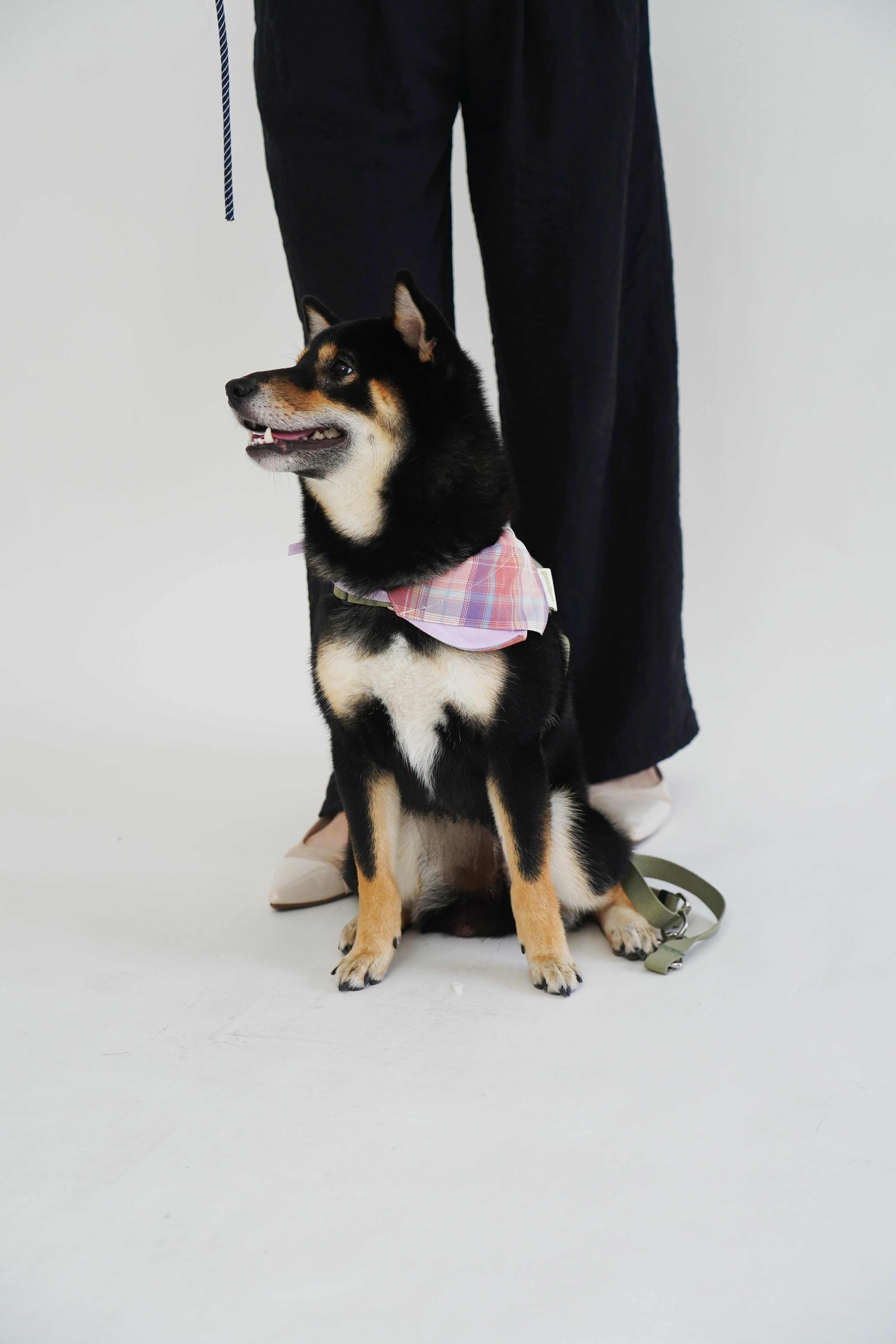 BANDANA BIB in Lavender and Poppin Red - Pawshion for the furbabies