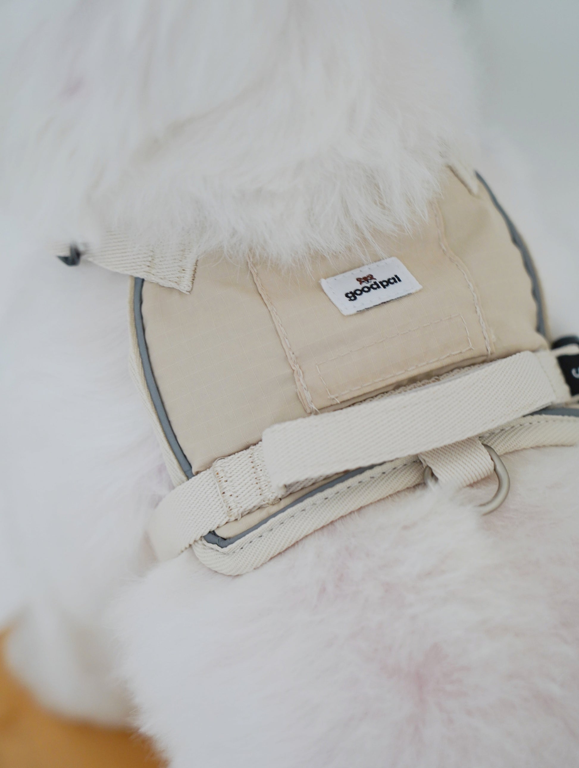 Close-up of a beige dog muzzle with a brand label on a white background