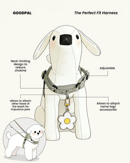Eco-friendly Everyday Dog Harness for good pals - in Oat and Olive