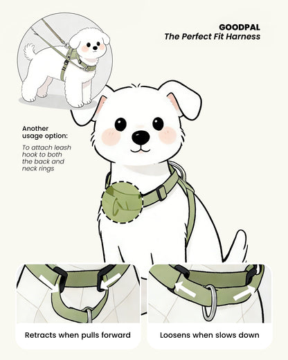 Eco-friendly Everyday Dog Harness for good pals - in Oat and Olive