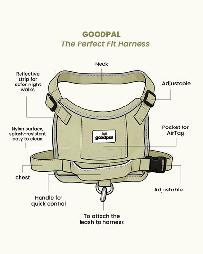 Eco-friendly Everyday Dog Harness for good pals - in Oat and Olive