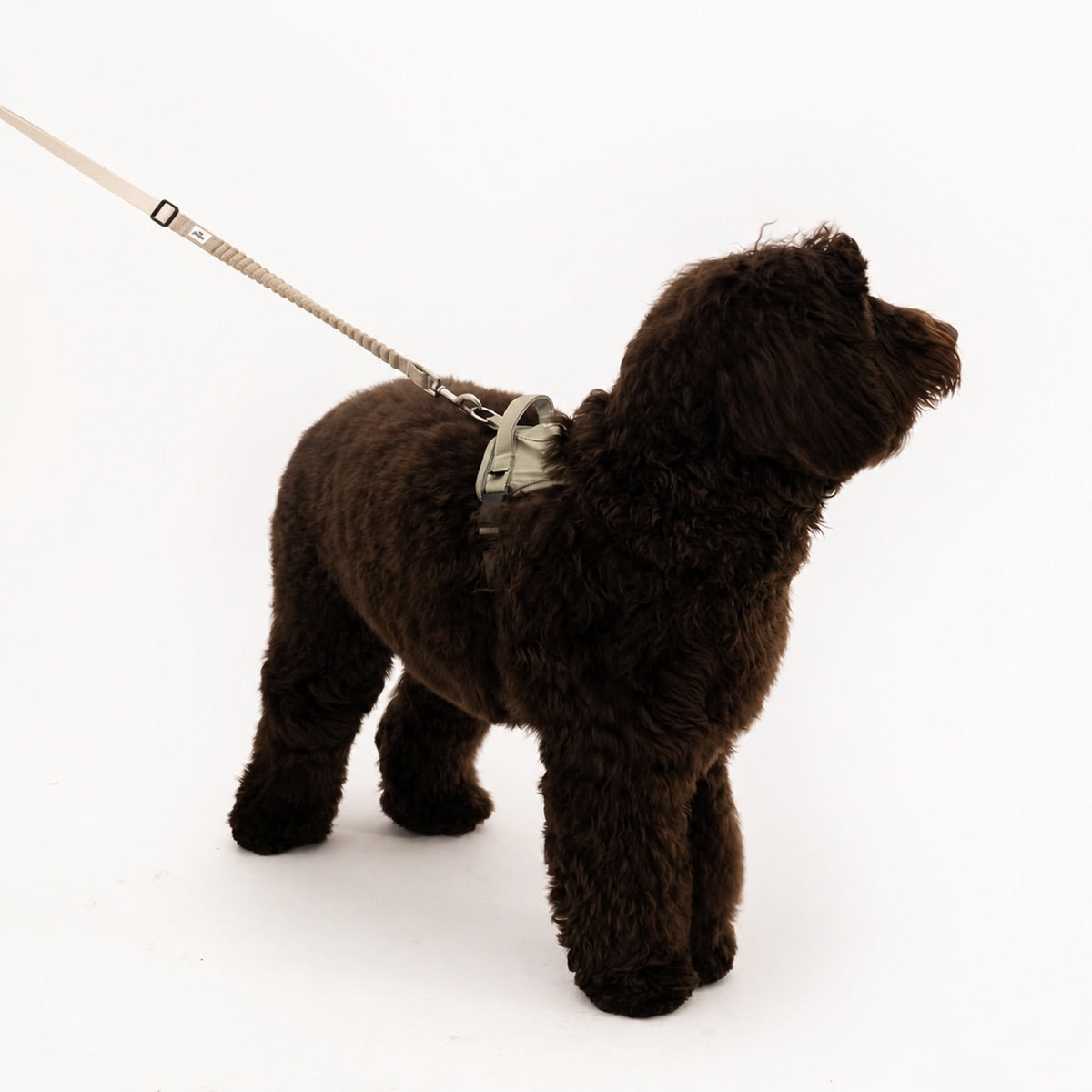 Eco-friendly Everyday Dog Harness for good pals - in Oat and Olive