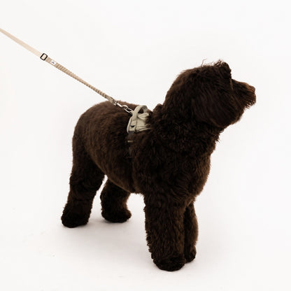 Eco-friendly Everyday Dog Harness for good pals - in Oat and Olive