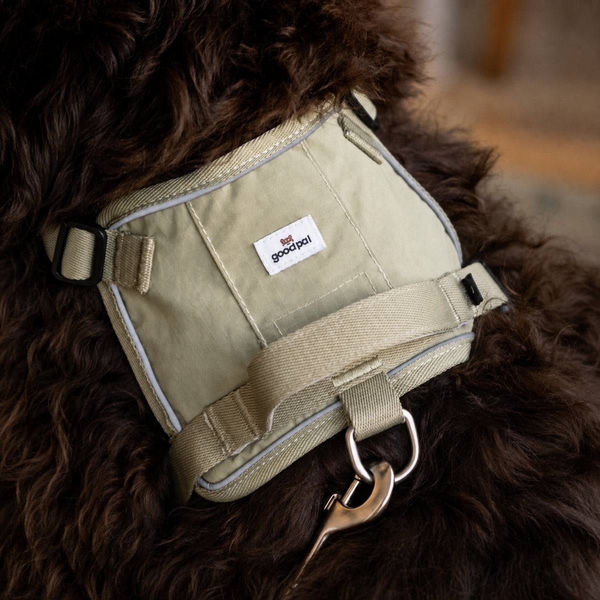 Eco-friendly Everyday Dog Harness for good pals - in Oat and Olive