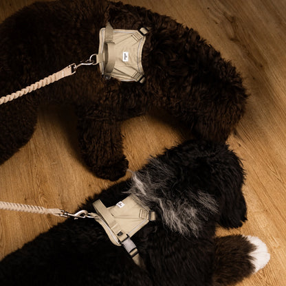Eco-friendly Everyday Dog Harness for good pals - in Oat and Olive