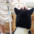 Black cat wearing a beige harness with a person holding it, on a light background.