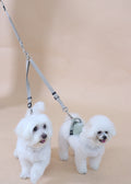 Eco-friendly Set B - Dual Dog Control Multi-Way Leash