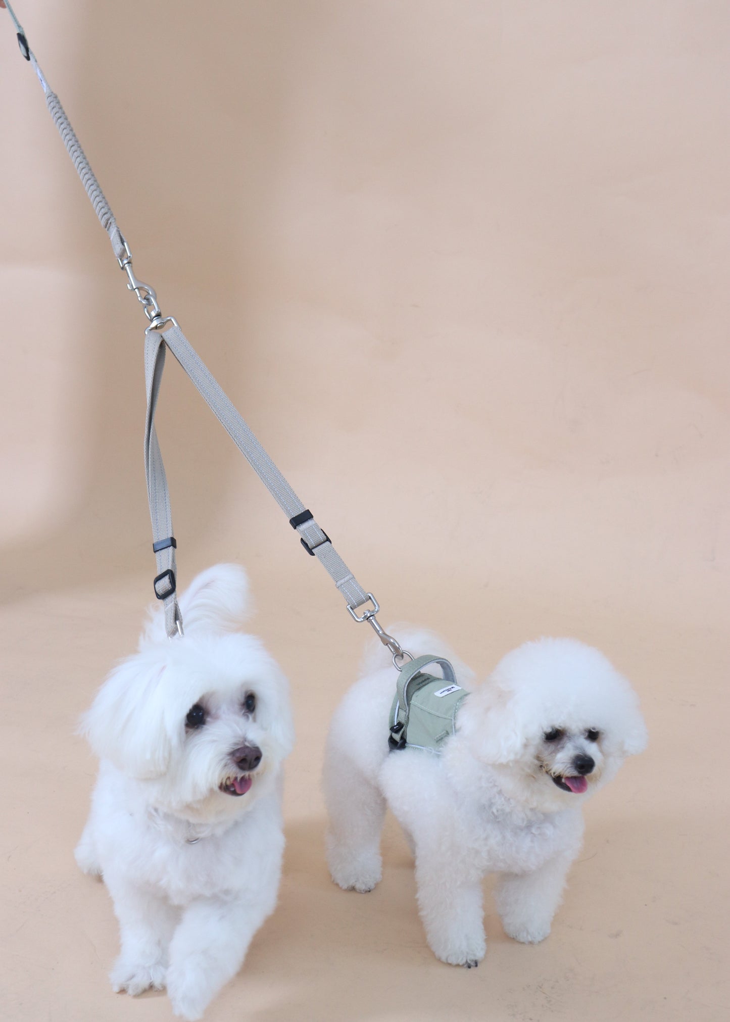 Set B - Dual Dog Control Multi-Way Leash