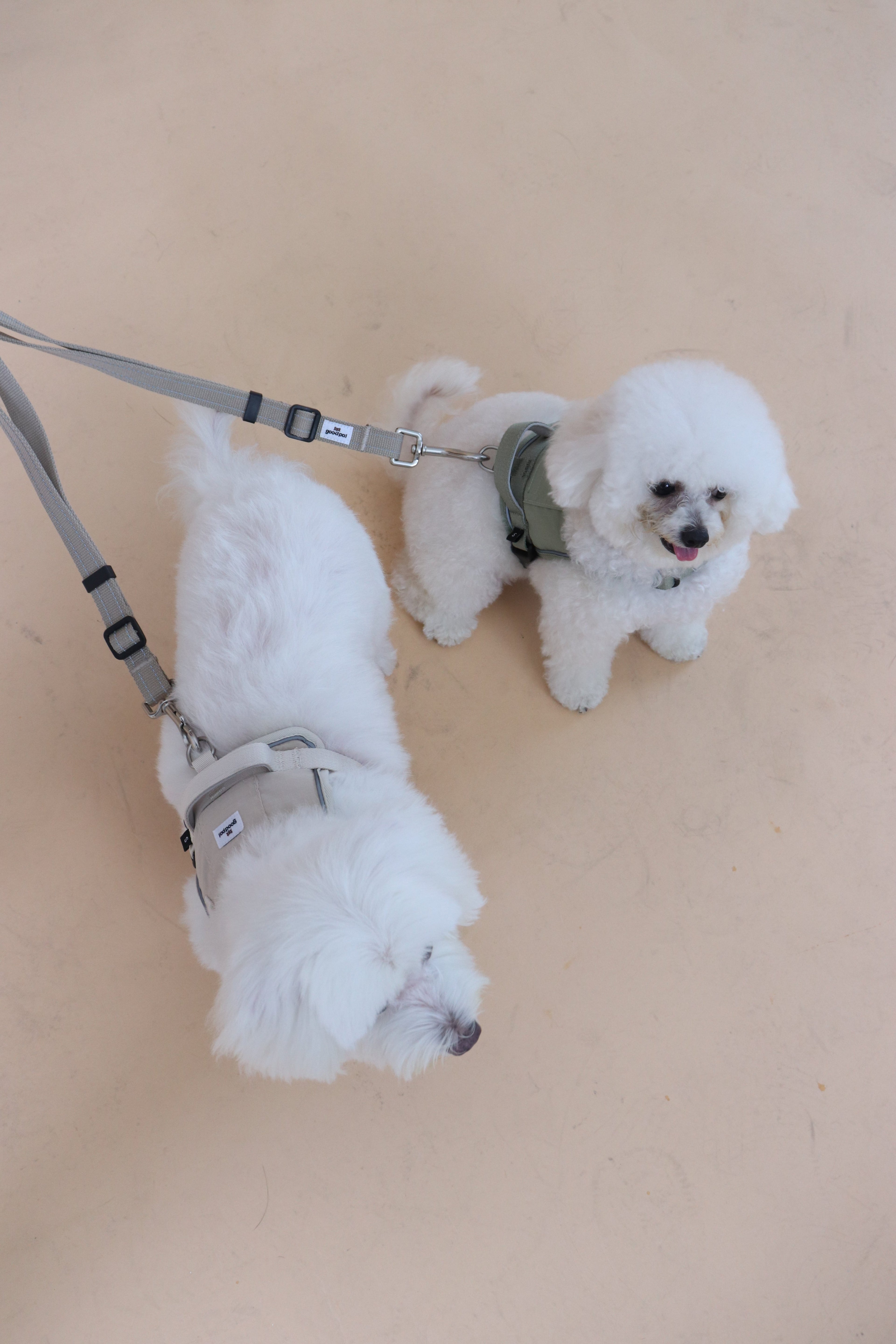 Eco-friendly Set B - Dual Dog Control Multi-Way Leash