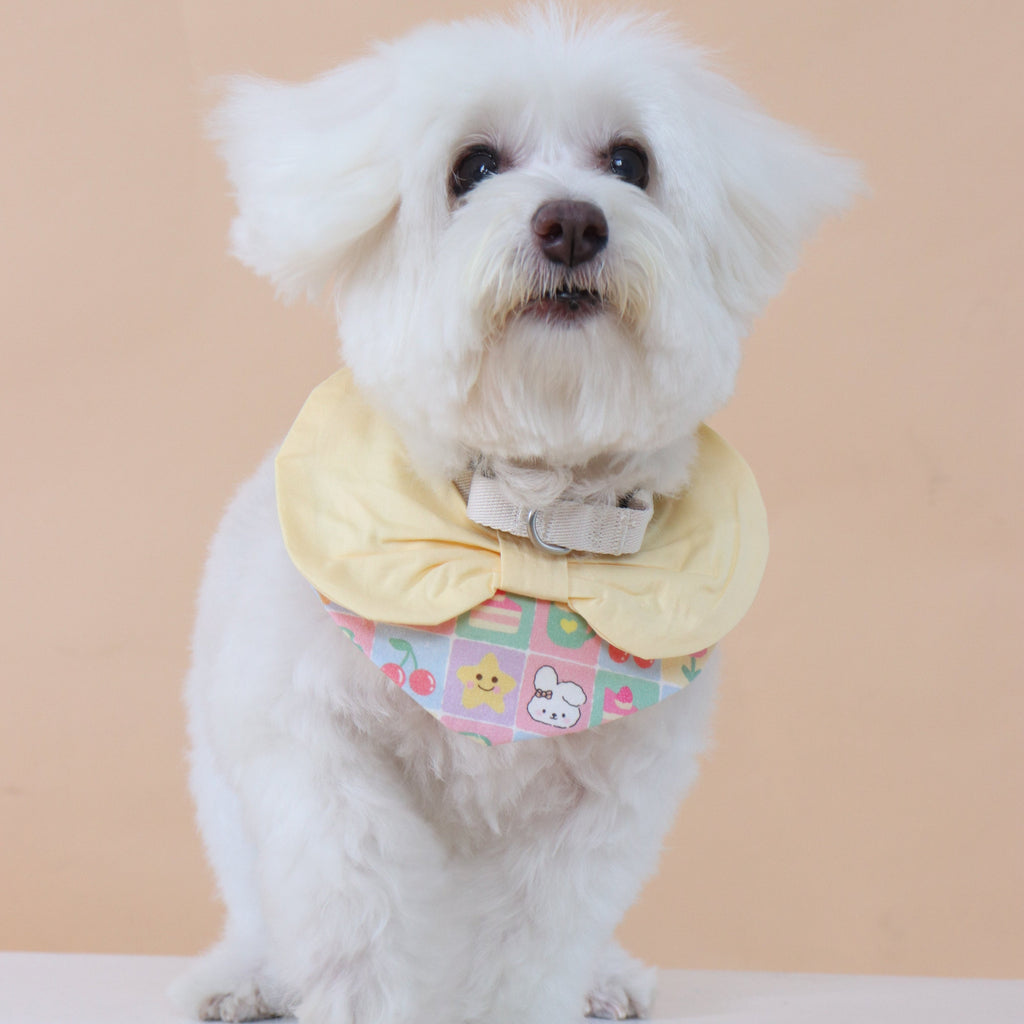 BOWTIE BANDANA BIB in Yellow and Blue - Simple charm for the furbabies