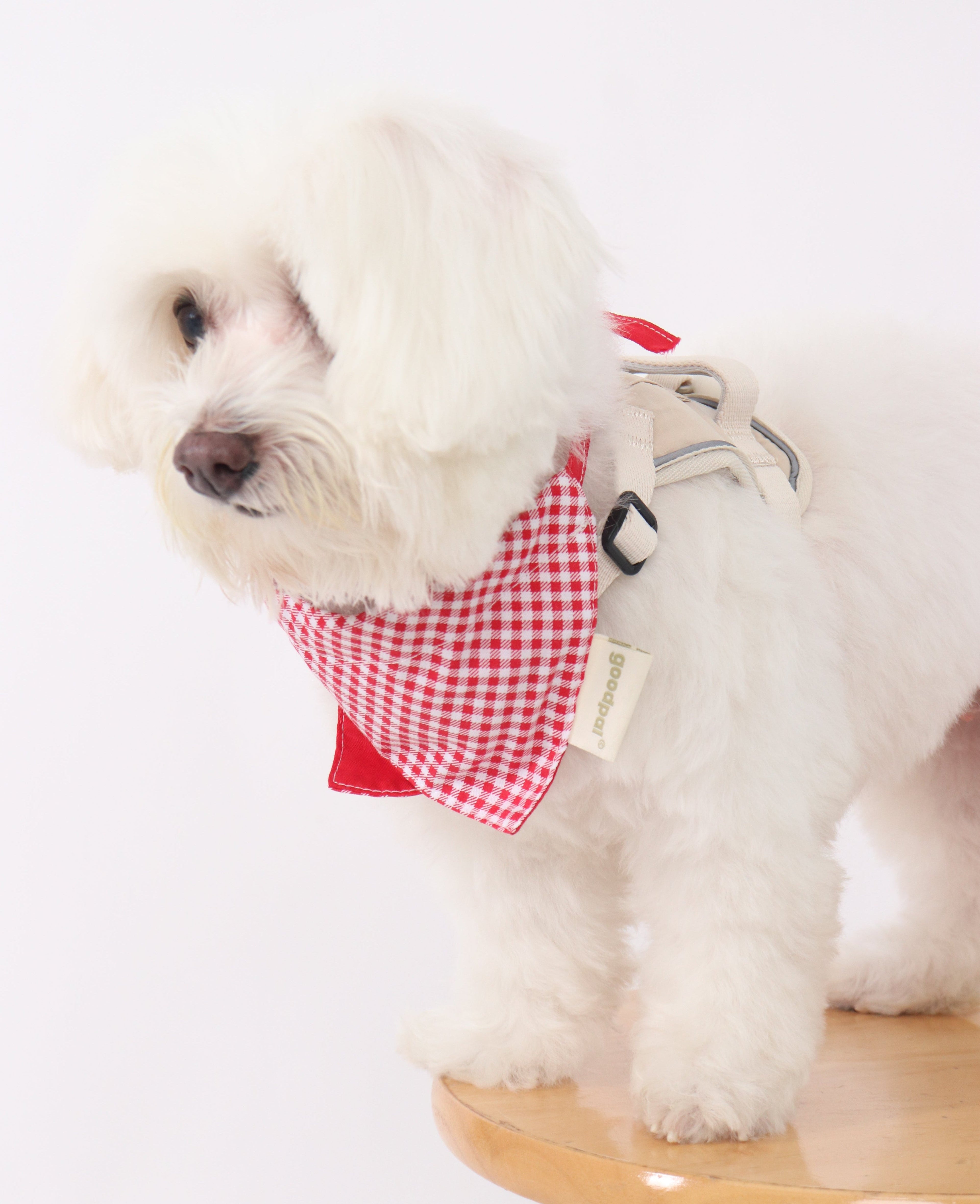 BANDANA BIB in Lavender and Poppin Red - Pawshion for the furbabies