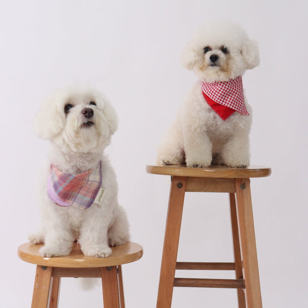BANDANA BIB in Lavender and Poppin Red - Pawshion for the furbabies