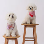 BANDANA BIB in Lavender and Poppin Red - Pawshion for the furbabies
