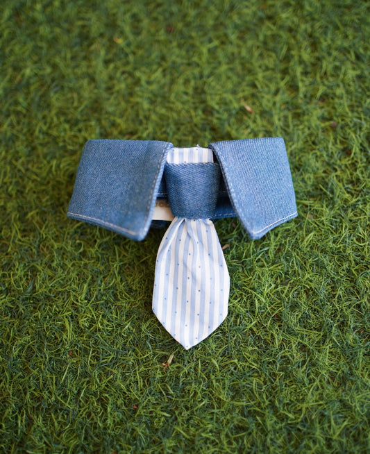 BLUE TIE BIB  - Smart casual vibe