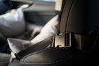 Pawssenger Car Seat - keep your furry co-pilot safe