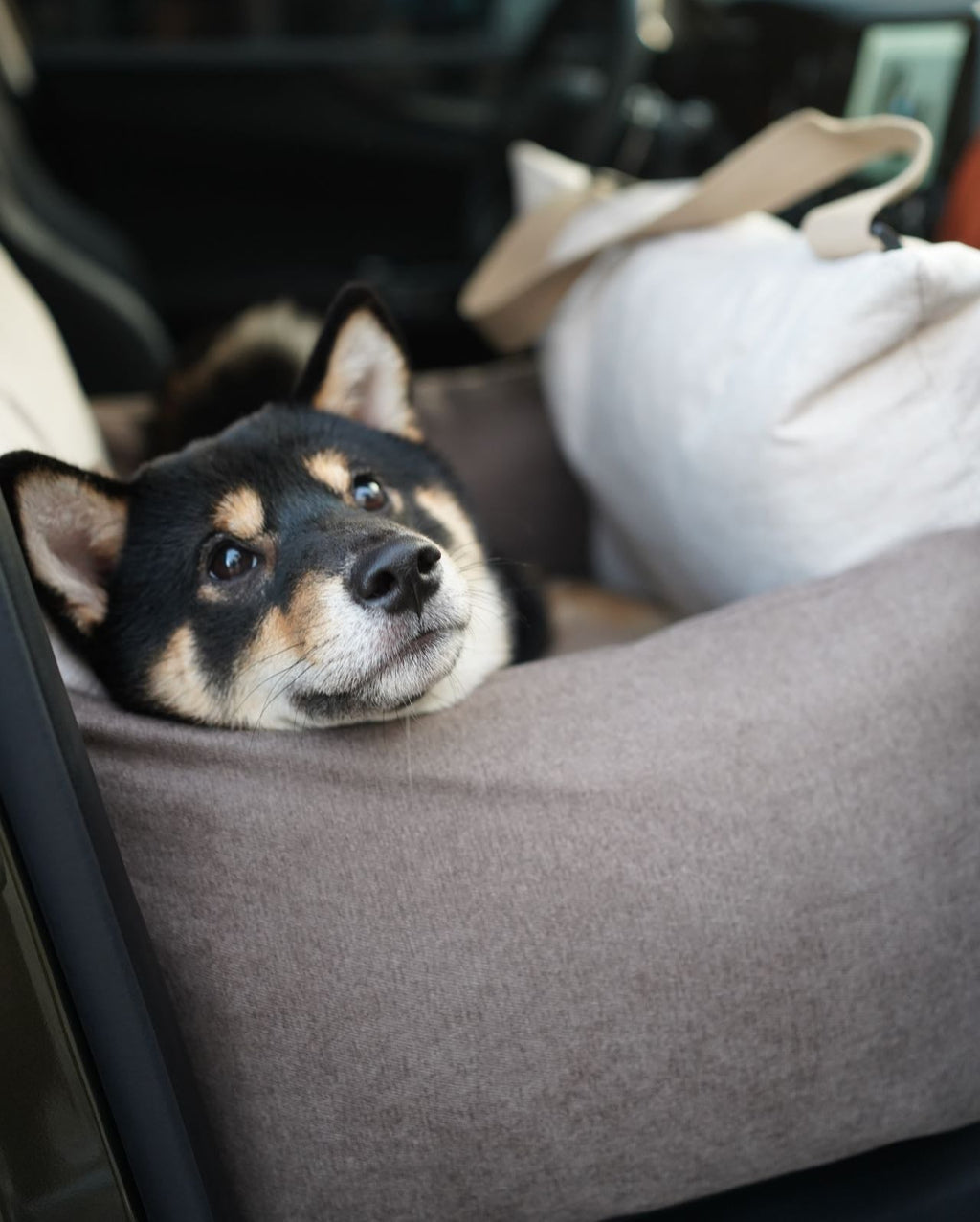 Pawssenger Car Seat - keep your furry co-pilot safe