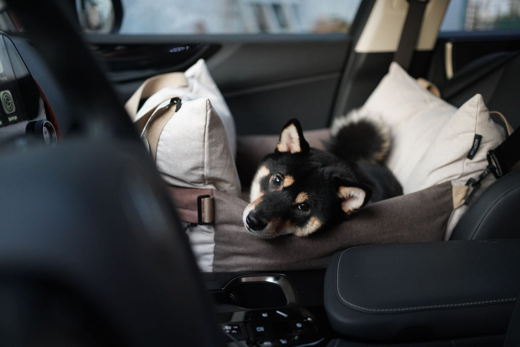 Pawssenger Car Seat - keep your furry co-pilot safe